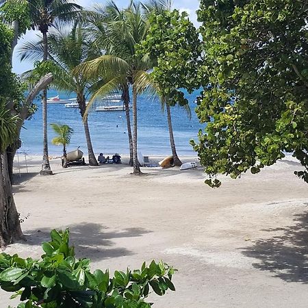 Chambre Chez L Habitant Sur La Plage Les Pieds Dans L Eau, Wifi Quartiers Anse a l'Ane Exteriér fotografie