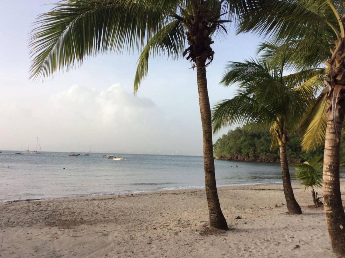 Chambre Chez L Habitant Sur La Plage Les Pieds Dans L Eau, Wifi Quartiers Anse a l'Ane Exteriér fotografie
